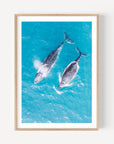 FVR0144 - STRADBROKE ISLAND