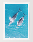 FVR0144 - STRADBROKE ISLAND