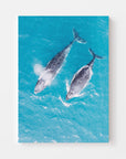 FVR0144 - STRADBROKE ISLAND