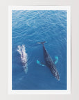 FVR0116 - STRADBROKE ISLAND