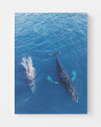 FVR0116 - STRADBROKE ISLAND