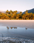 Tropical sunrise over Noah Beach, Cape Tribulation with palm trees and soft coastal light – art print by fourbyfiver.
