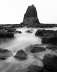 FVR0015 - CAPE SCHANCK