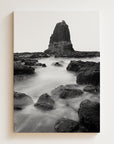 FVR0015 - CAPE SCHANCK