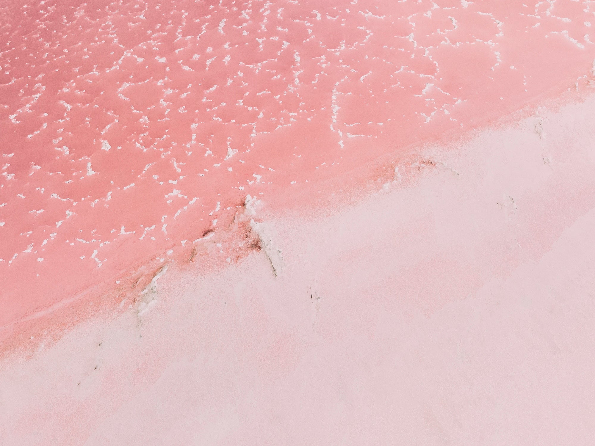 Pastel pink salt lake textures at Hutt Lagoon, West Australia captured as coastal wall art for modern interiors.