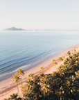 Mission Beach, Cassowary Coast showing tropical coastline with palm-lined shore and soft wave lines along sandy beach
