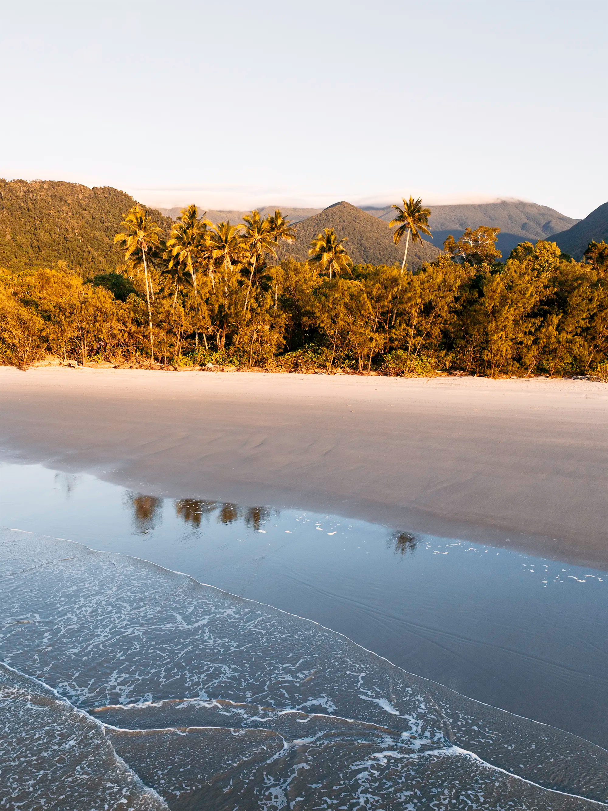 Noah Beach, Cape Tribulation showing palm trees along shoreline with soft morning light and calm water meeting smooth sand