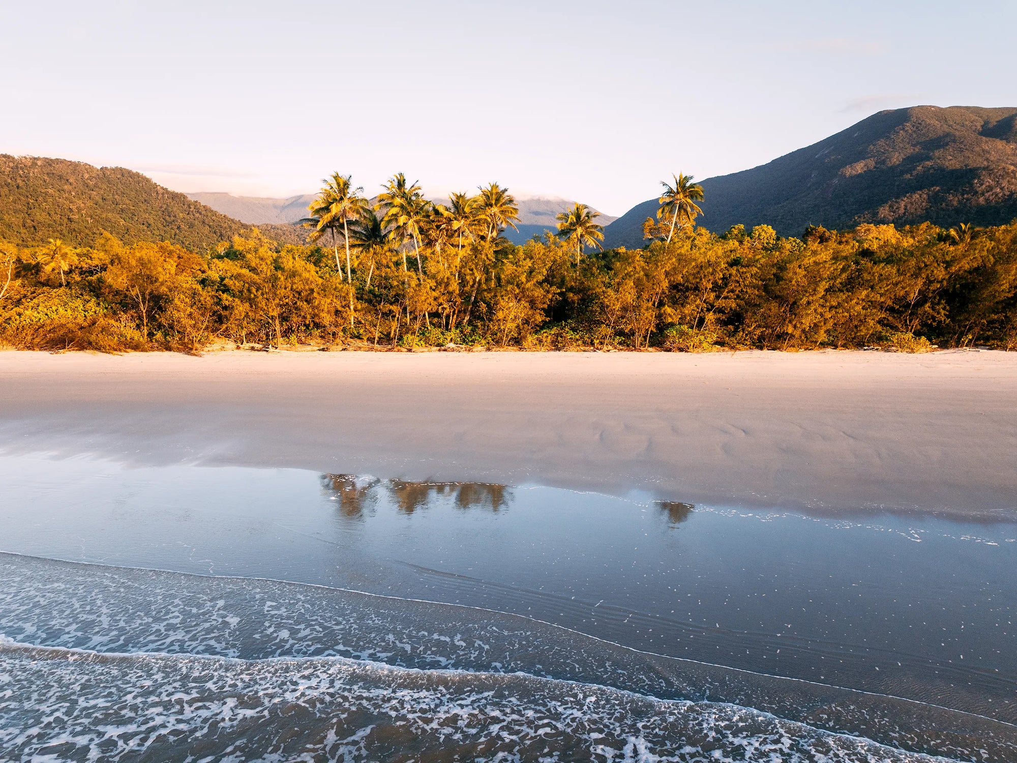 Tropical sunrise over Noah Beach, Cape Tribulation with palm trees and soft coastal light – art print by fourbyfiver.